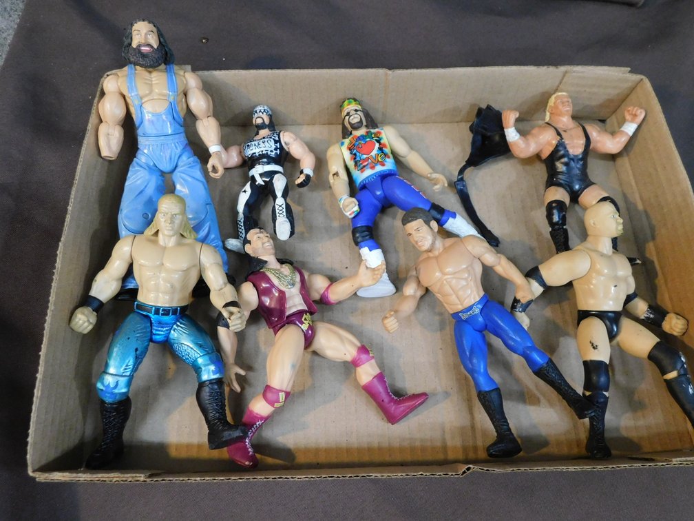 Assorted Wrestling Action Figures
