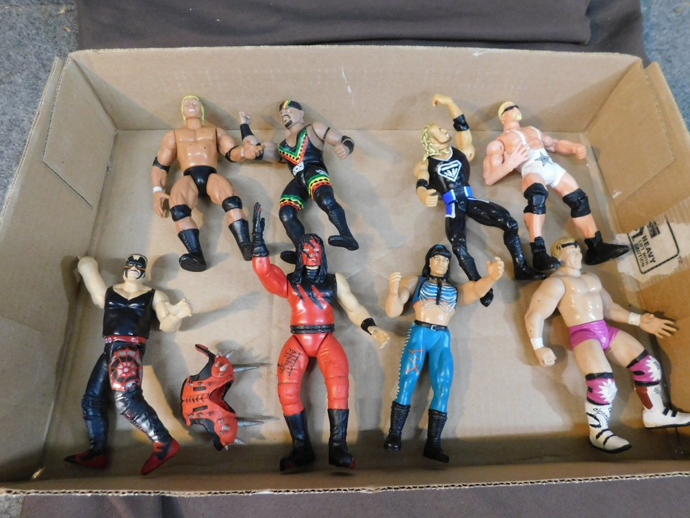 Assorted Wrestling Action Figures