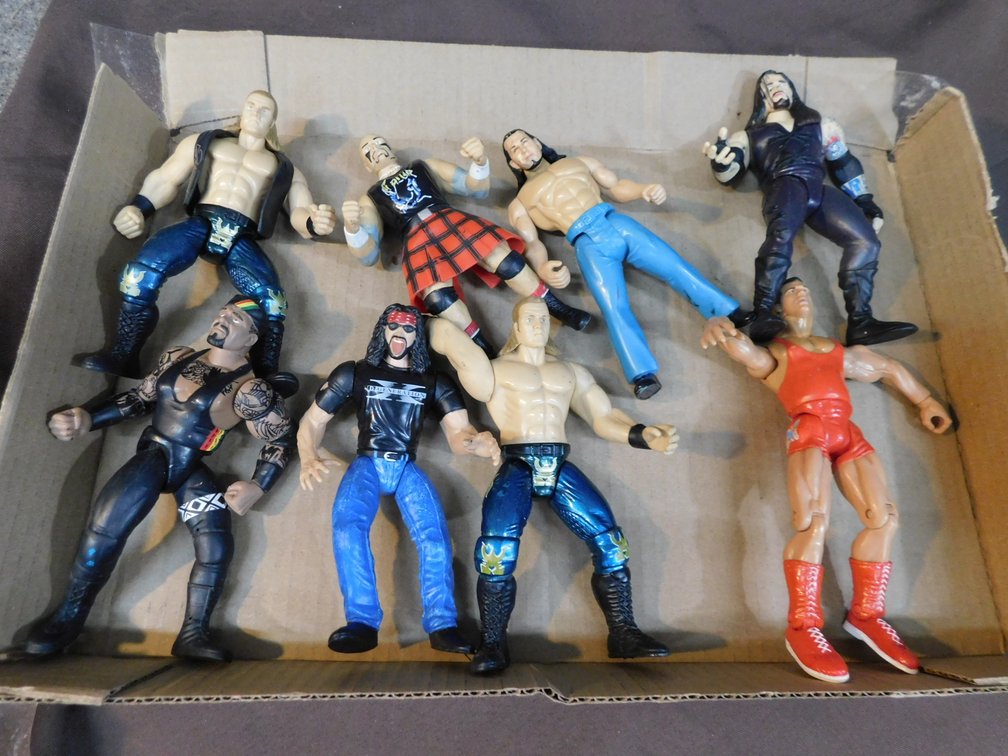 Assorted Wrestling Action Figures