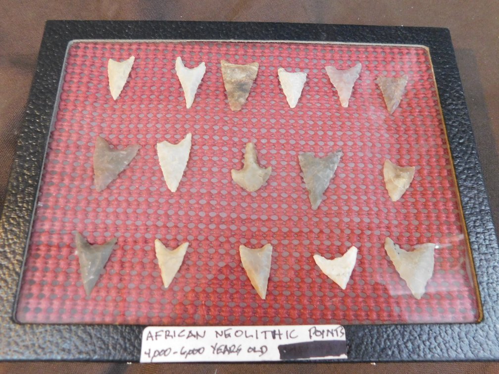 African Neolithic Points in Display Case, Owner States