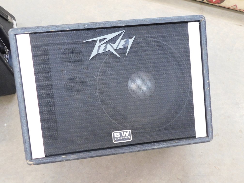 Peavey Speaker 16" x 24" Model 112 TS, Serial Number 1E-886701