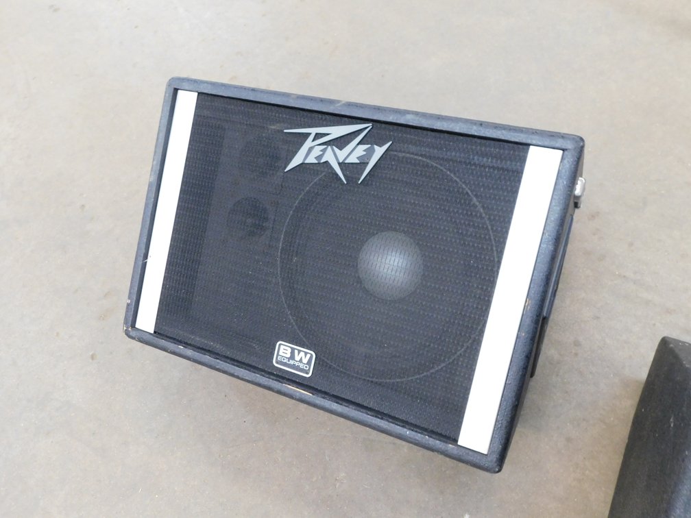 Peavey Speaker 16" x 24" Model 112 TS, Serial Number 1E-886701