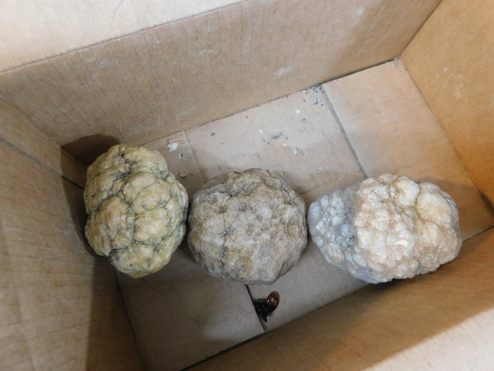 Three Geodes