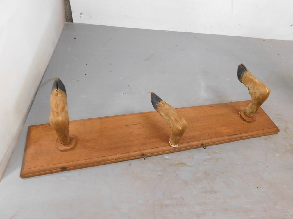Door Hoof Coat Rack 30" L