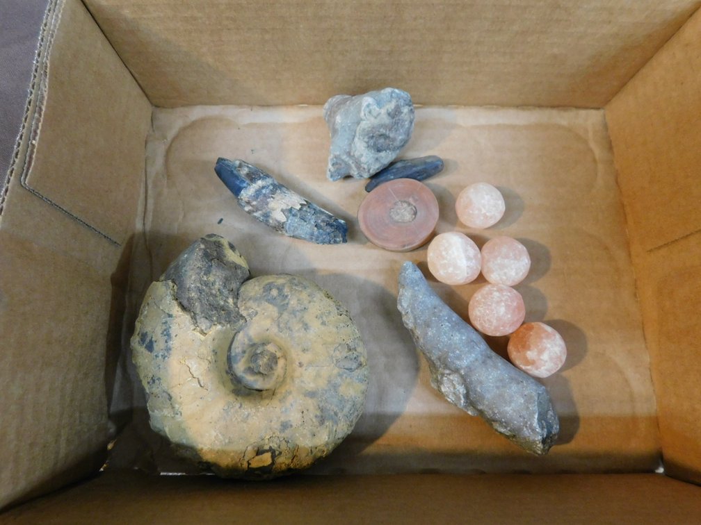 Assorted Fossil Items, Minerals, Please Preview