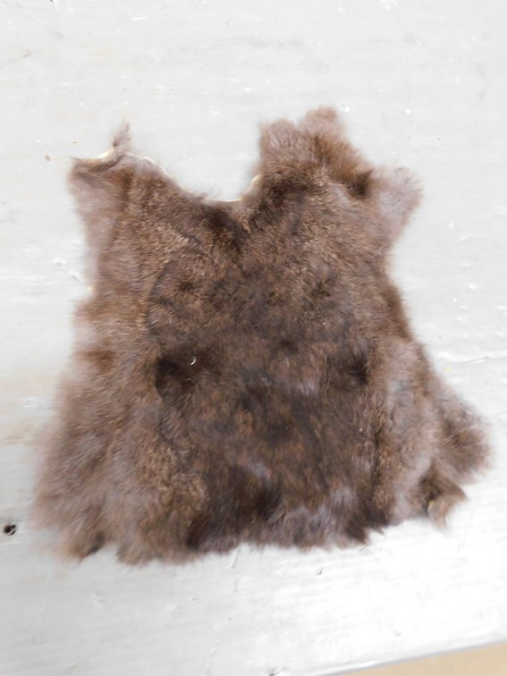 Piece of Rabbit Fur