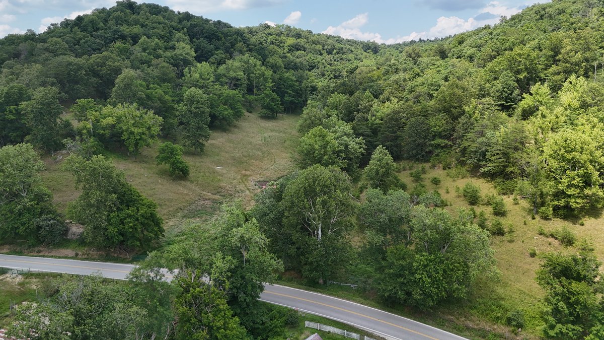 Image for Live Onsite Real Estate Auction with Online Bidding (Updated)
