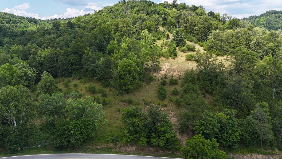 Image for Live Onsite Real Estate Auction with Online Bidding (Updated)