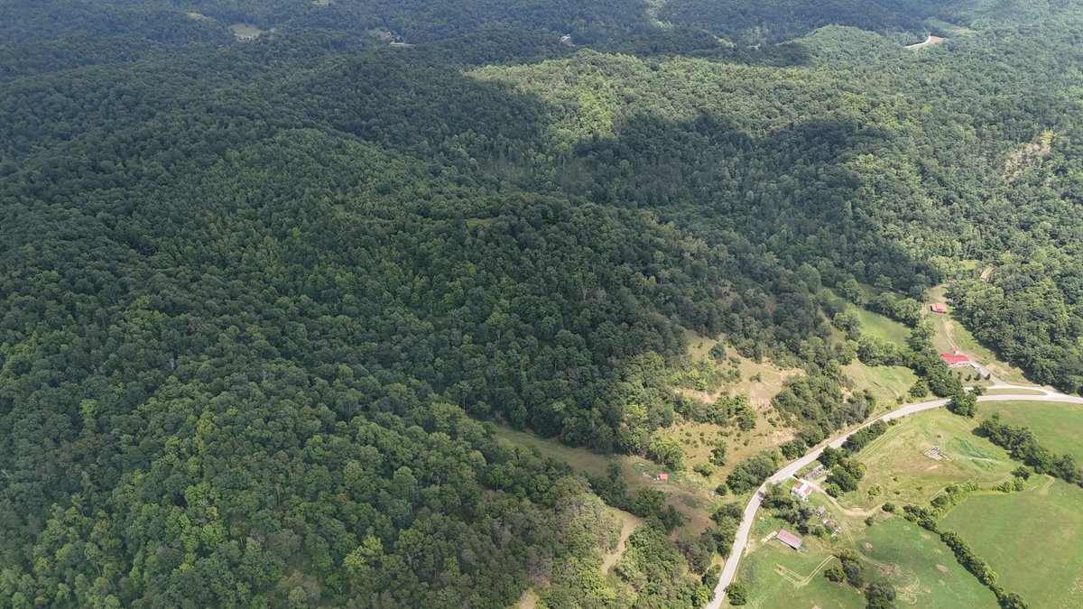 Image for Live Onsite Real Estate Auction with Online Bidding (Updated)