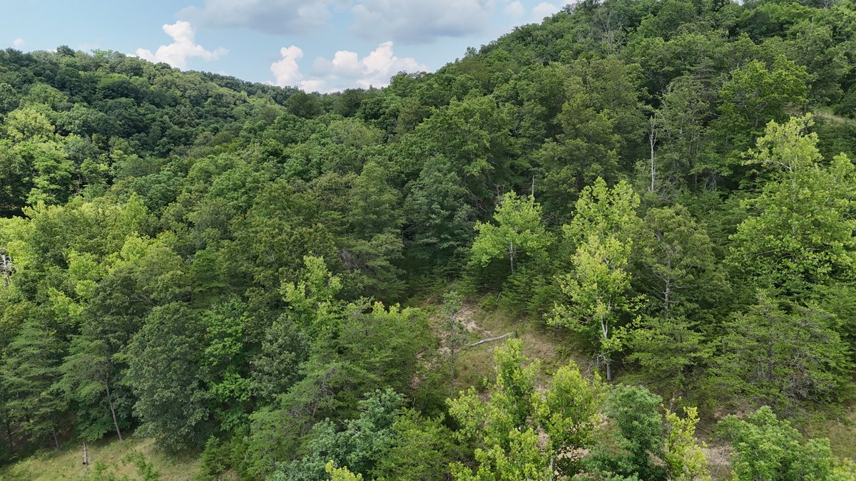 Image for Live Onsite Real Estate Auction with Online Bidding (Updated)