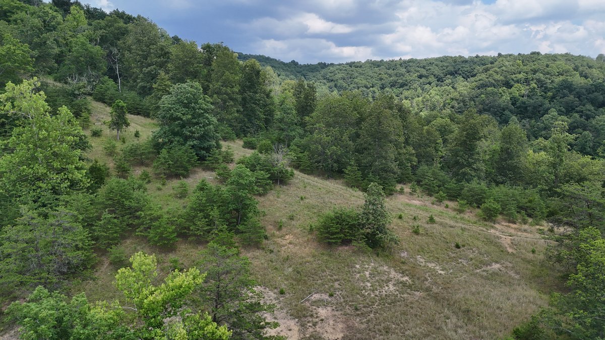 Image for Live Onsite Real Estate Auction with Online Bidding (Updated)