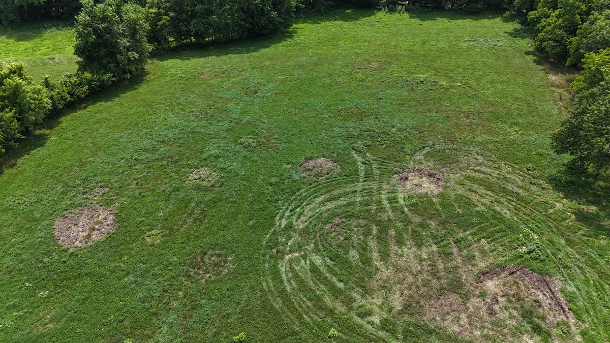 Image for Live Onsite Real Estate Auction with Online Bidding (Updated)