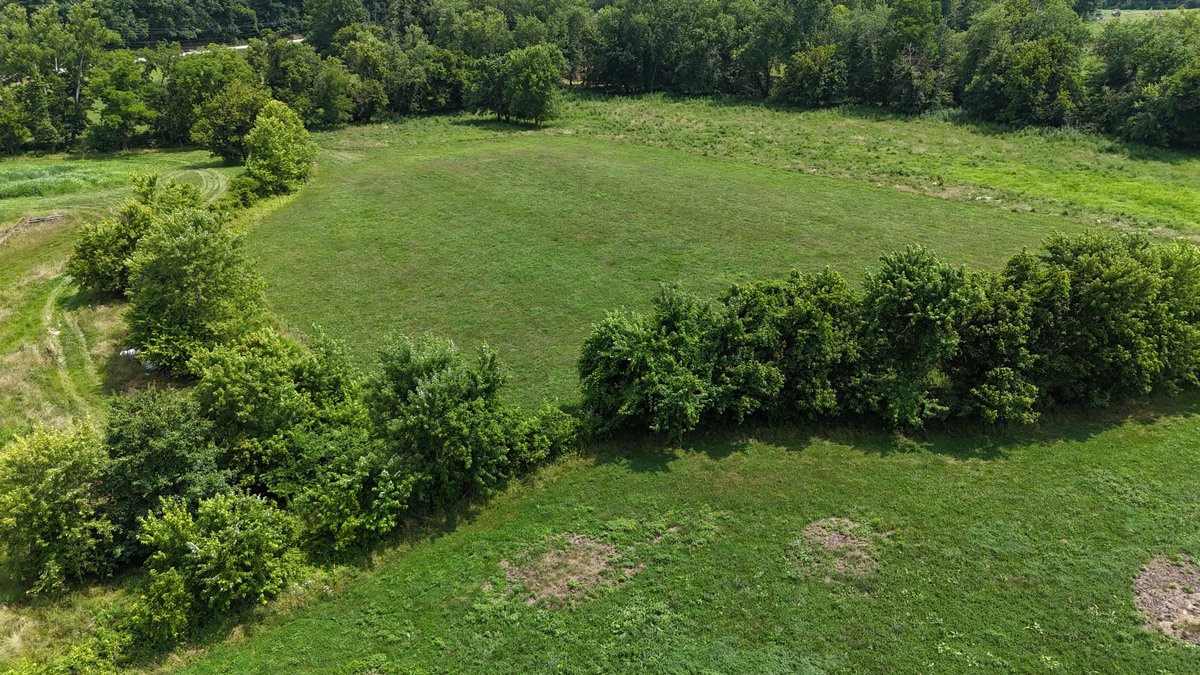 Image for Live Onsite Real Estate Auction with Online Bidding (Updated)