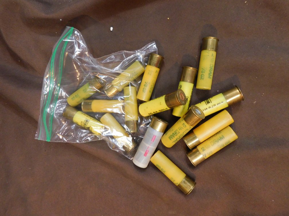 Mixed Ammo 20 Gauge 15 Rounds, 16 Gauge 1 Round