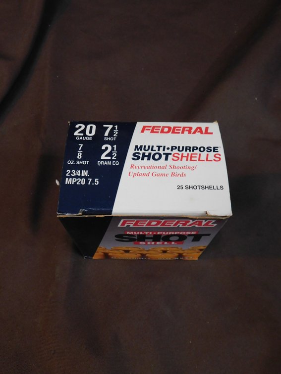 Federal 20 Gauge 2 3/4" Ammo, 25 Rounds