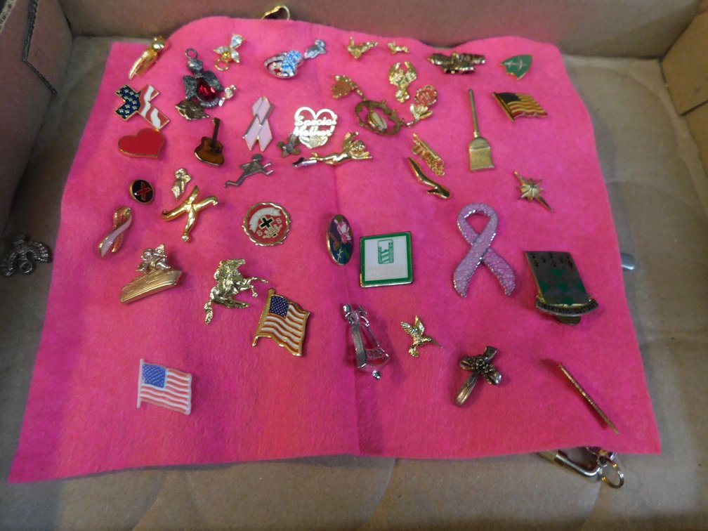 Lot of Assorted Lapel Pins