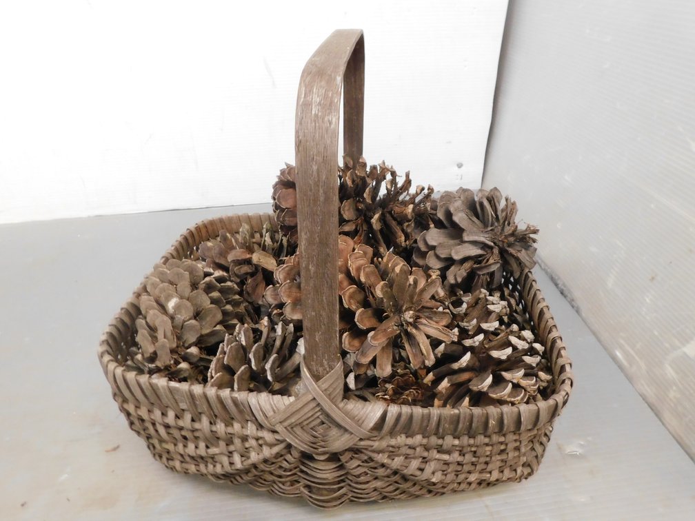 Basket with Pinecones 14" x 11" x 7"