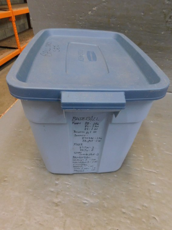 Blue Empty Tote