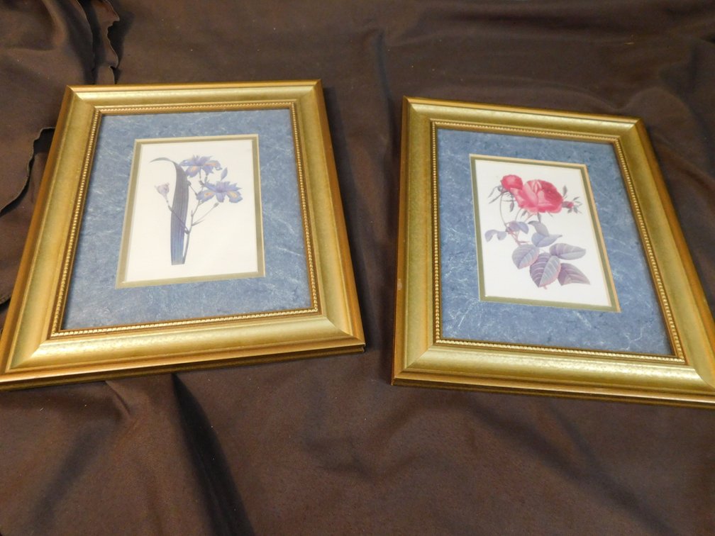 Two Framed Flower Pictures 10 1/2" x 12 1/2"