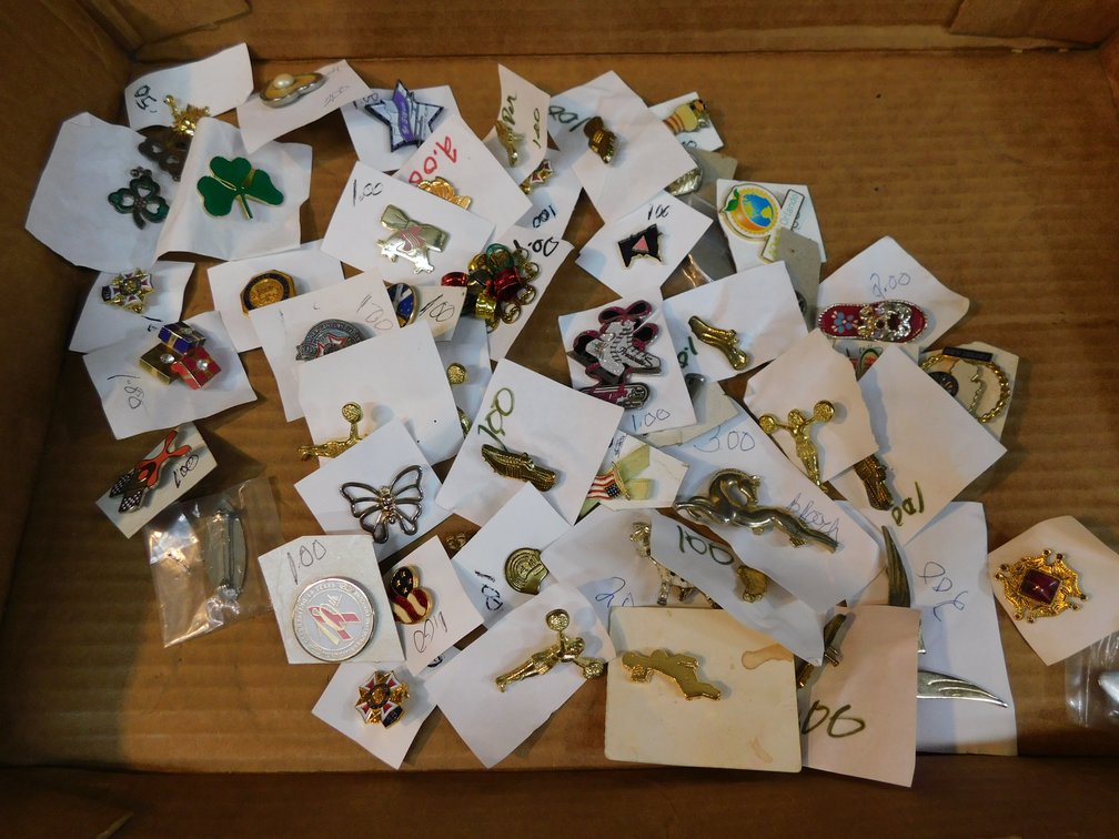 Lot of Assorted Pins