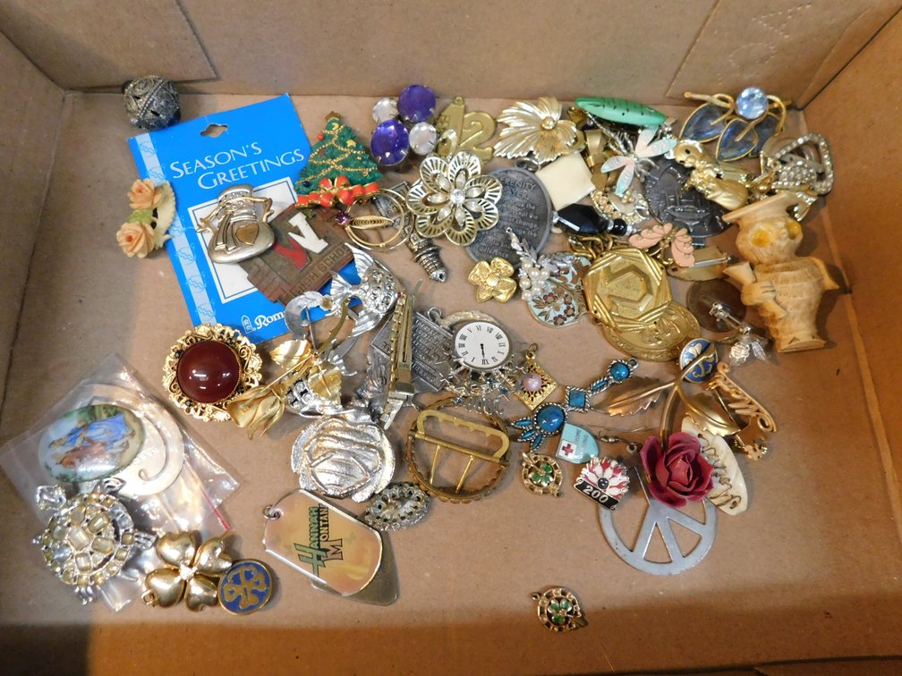 Lot of Assorted Costume Jewelry, Brooches, Pins etc.
