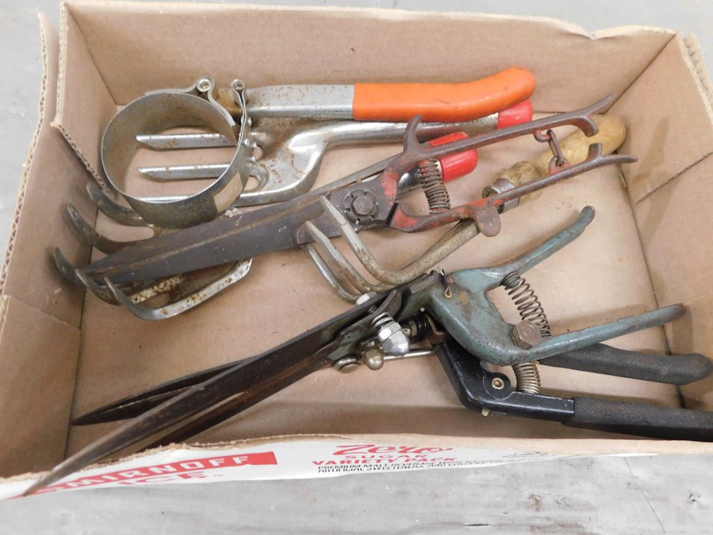 Assortment of Gardening Tools