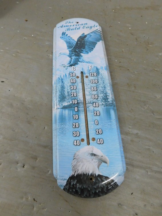 American bald Eagle Thermometer 17"