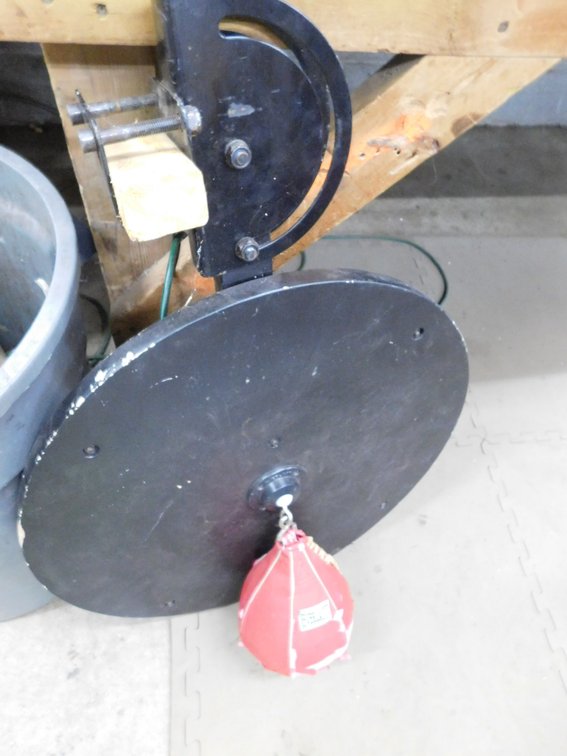 Everlast Punching Bag