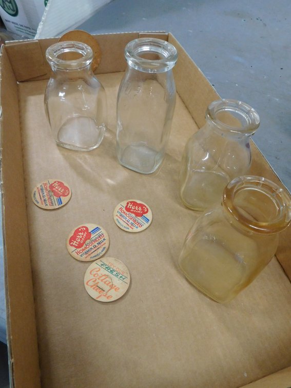 Assorted Milk Bottles with Caps