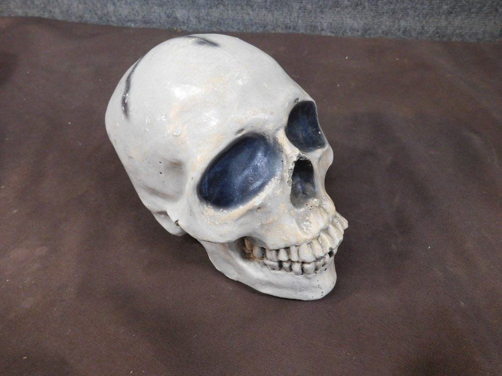 Cement Skull 8" x 5 1/2"