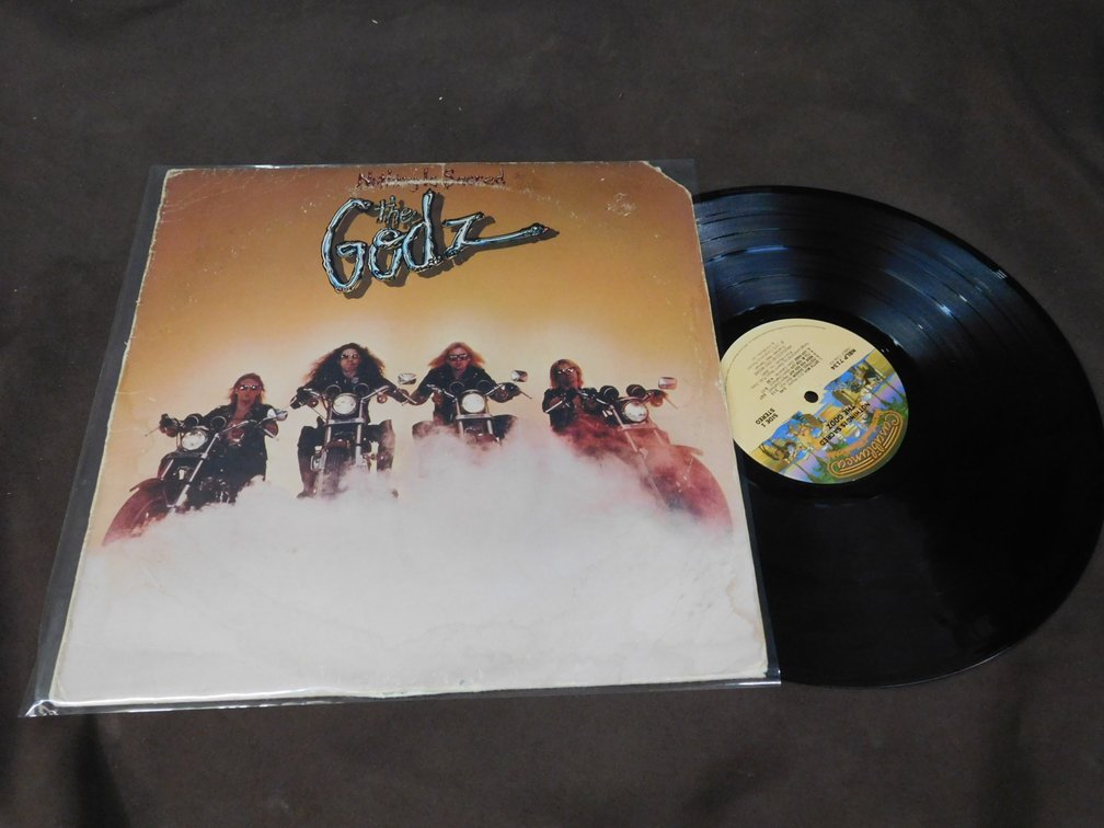 The Godz "Nothing Is Sacred" 33 LP Album