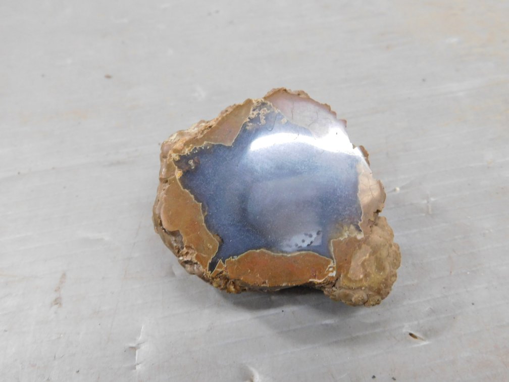 Thunderegg Agate 3 1/4" L