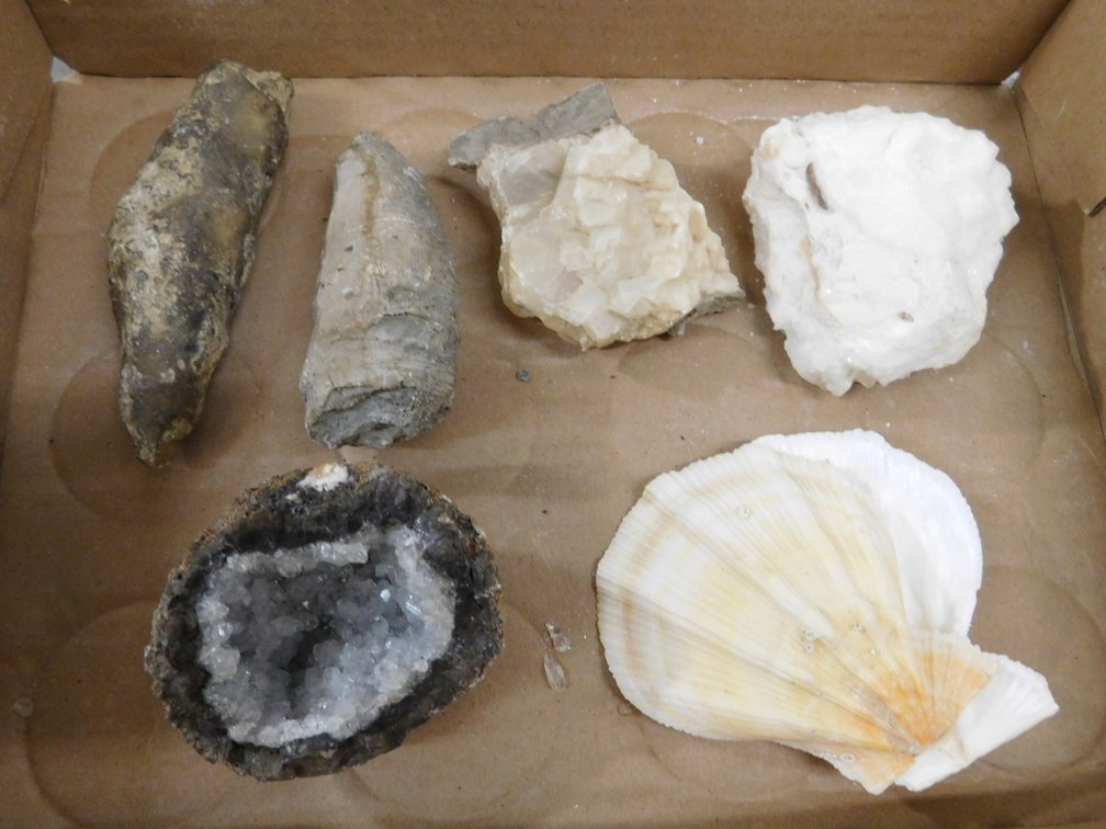 Geode, Shell, Cylindrical Horn etc.
