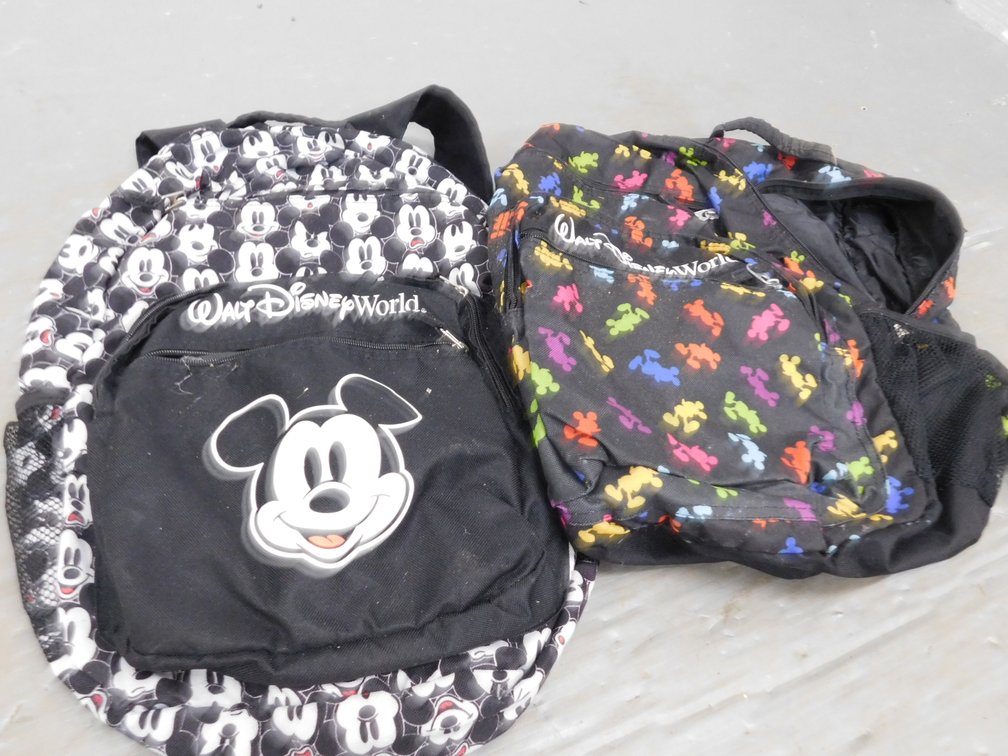 Two Walt Disney World Backpacks