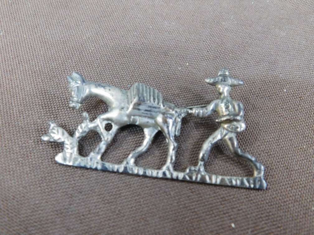 Sterling Silver Mexico Pin