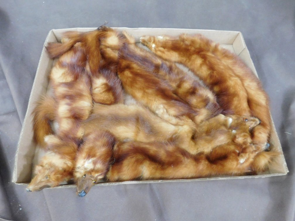 Mink Stole