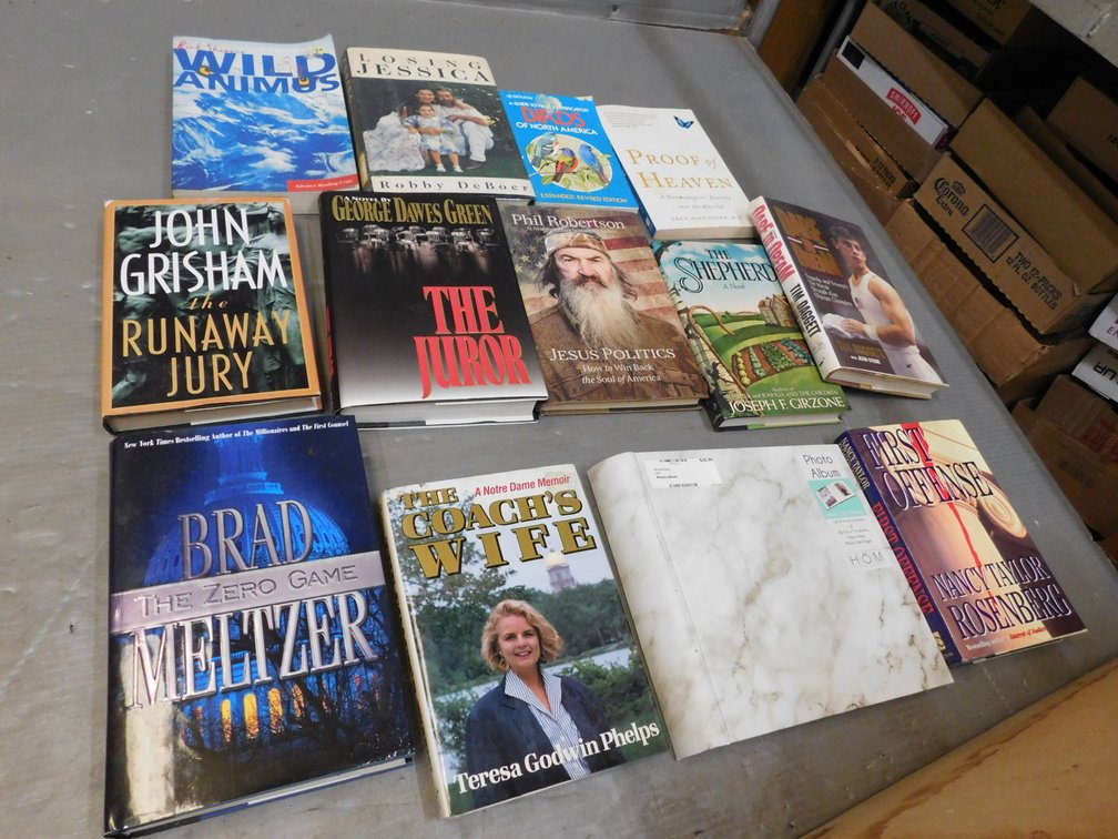 Lot of Assorted Books