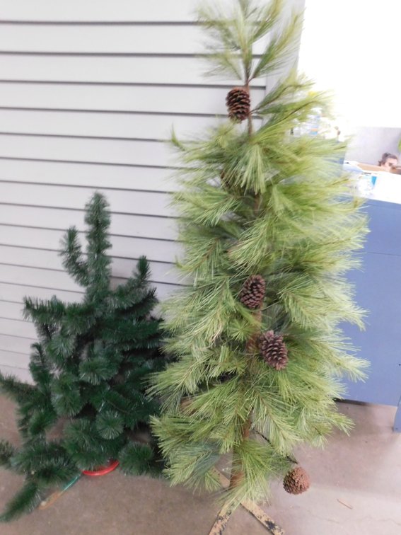 Two Christmas Trees