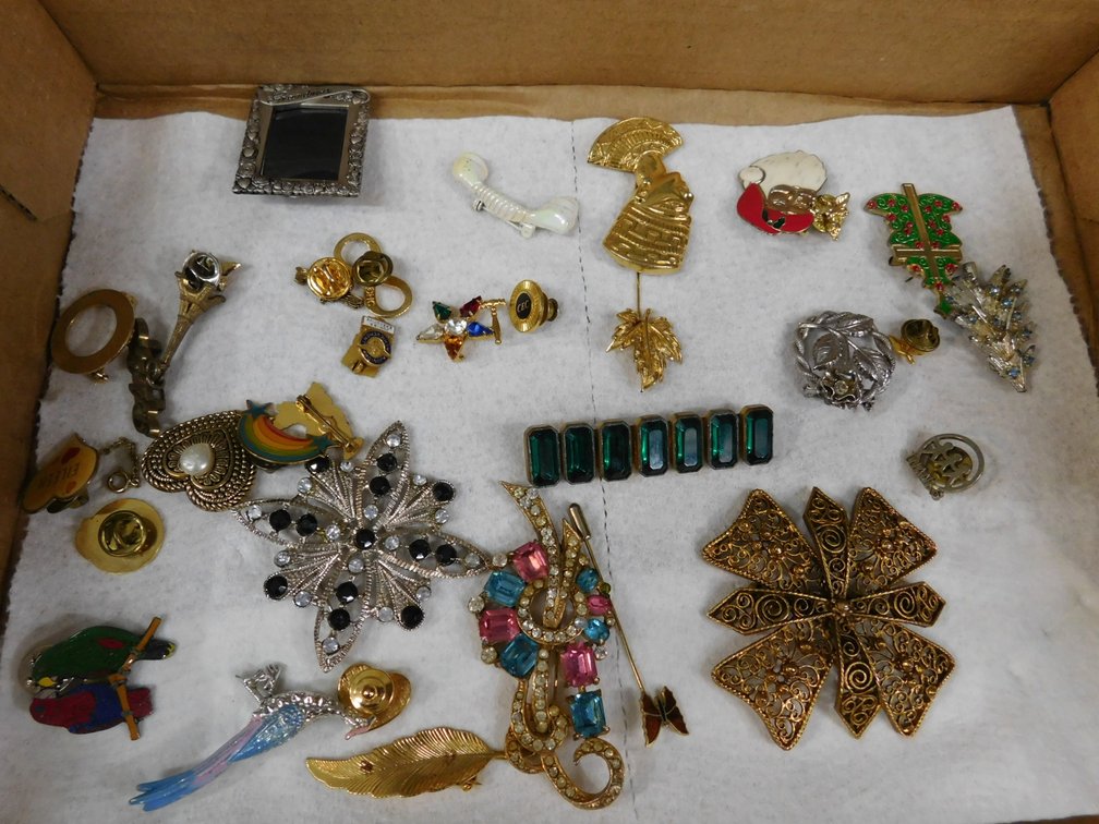 Costume Jewelry Pins