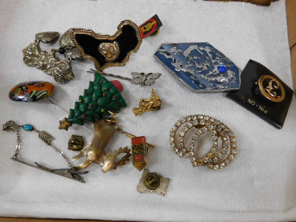 Costume Jewelry Pins