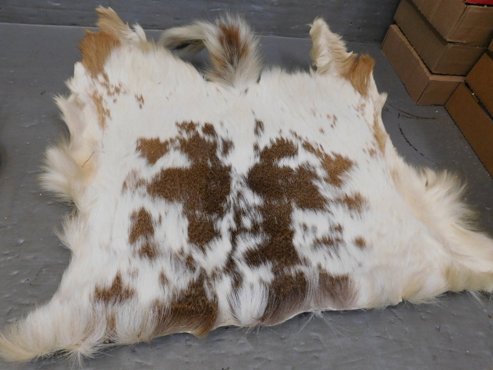 Piebald Deer Hide 26" x 26"