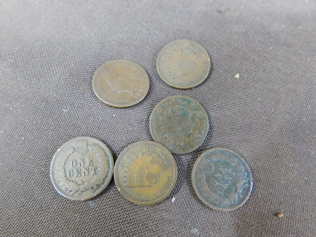 5-Various Dated Indian Head Pennies