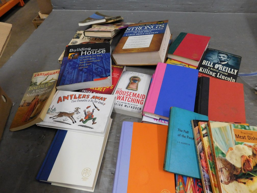 Lot of Assorted Books