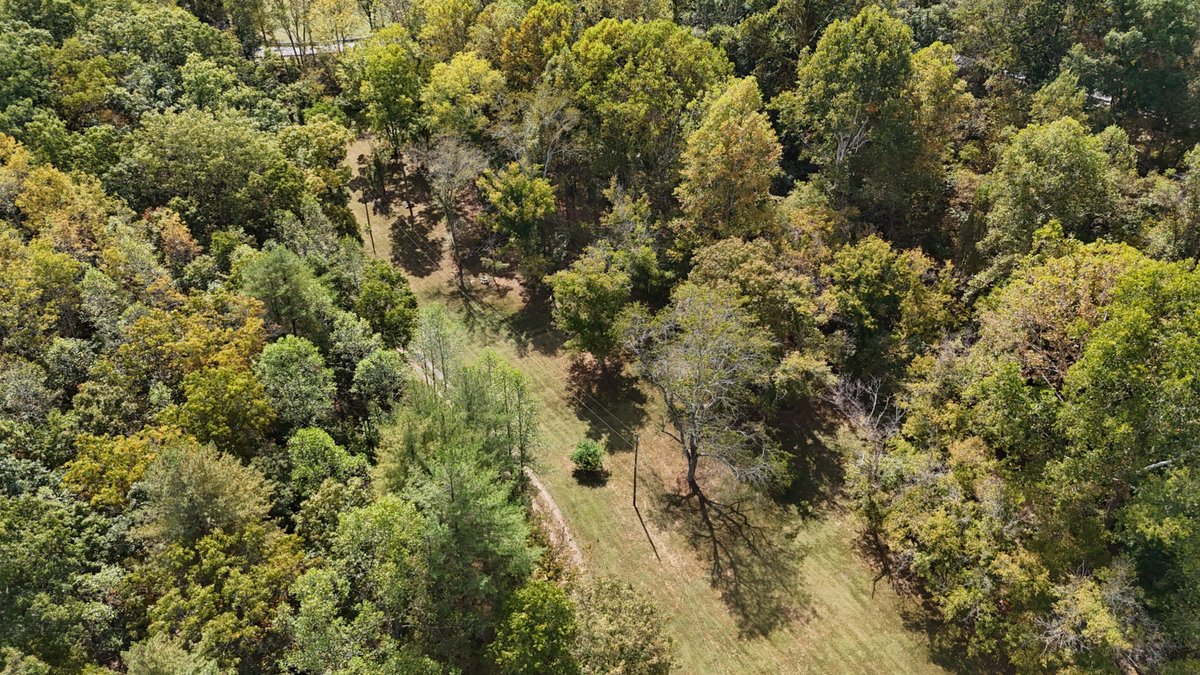 Image for Live Onsite Real Estate Auction with Online Bidding