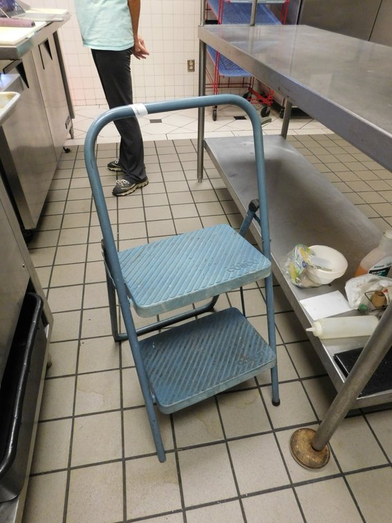 COSTCO Step Ladder