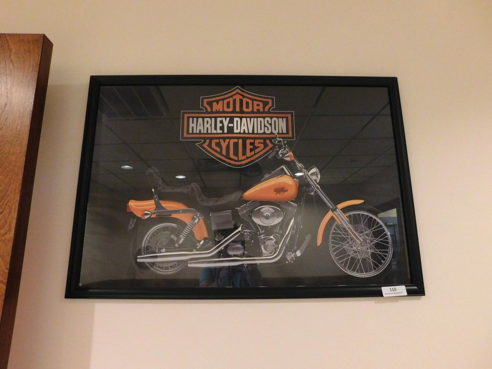 Framed Bike Picture