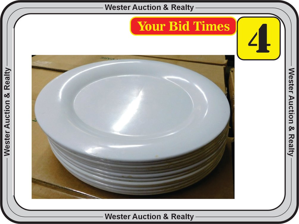 (1) Dozen 12" Melamine Plates