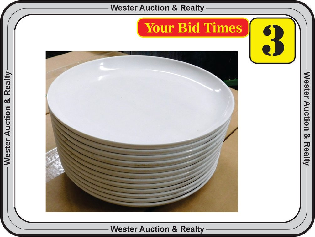 (1) Dozen 10.5" Melamine Plates