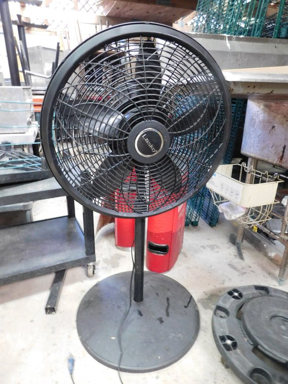 LASKO Oscillating Fan