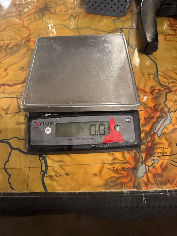 TAYLOR Digital Scale, 11 lb
